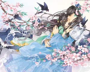 抖音网页版